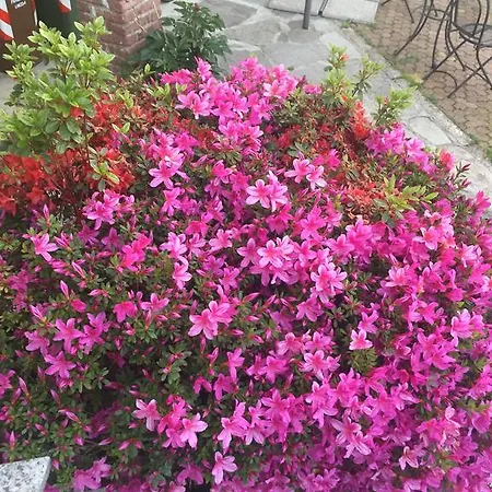 Apartamento Bnbook Il Geco Olgiate Olona